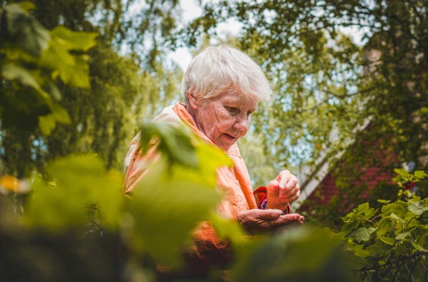 Ortoterapia per anziani: quando il giardinaggio è una cura