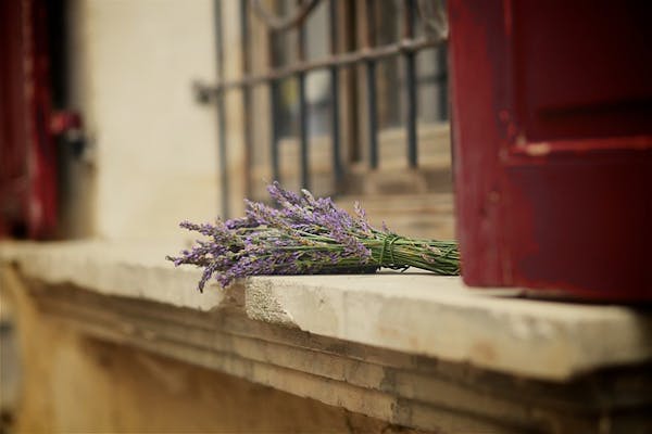 Mese Mondiale Alzheimer: nelle RSA Orpea del Piemonte la lavanda aiuta a combattere l'Alzheimer