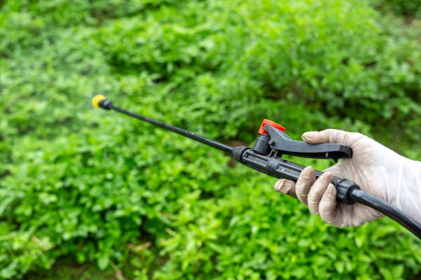 Appello dei neurologi: l'uso indiscriminato dei pesticidi può aumentare il rischio di Alzheimer