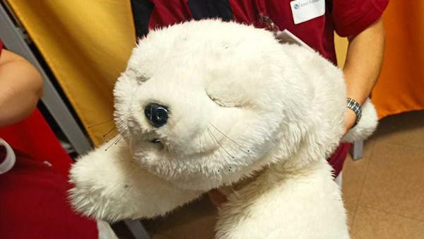Paro, il compagno robotico che accompagna gli anziani nella residenza Anni Azzurri di Rezzato