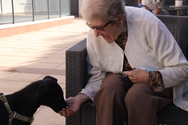 Pet Therapy: anche in Spagna gli animali entrano in Casa di Riposo
