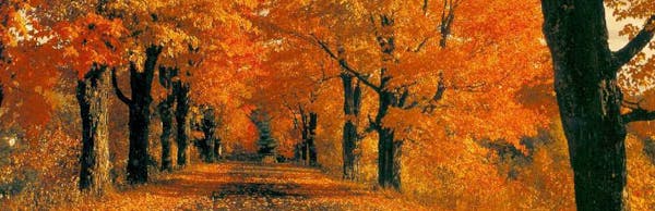 ritorna l'autunno