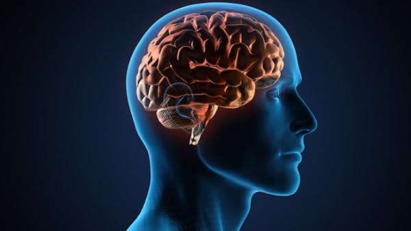 Alzheimer: sperimentata a Chicago una tecnica non invasiva per il recupero della memoria a breve termine