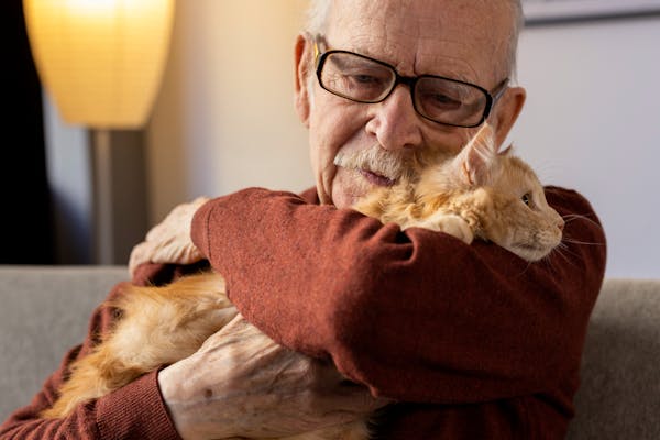 Studio suggerisce che la convivenza con animali domestici possa rallentare il declino cognitivo