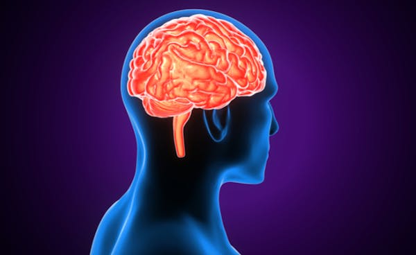 Alzheimer: il ruolo dei ricordi nella lotta alla malattia