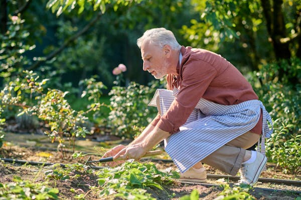 L'Agricoltura sociale combatte la demenza senile nelle Marche