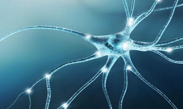Prevedere l'insorgenza del Parkinson con la risonanza magnetica. I risultati di uno studio calabrese