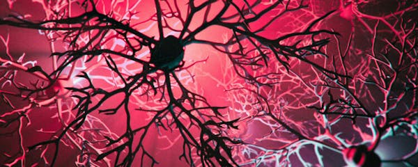 Alzheimer: a Boston prende il via la sperimentazione di un vaccino per via nasale