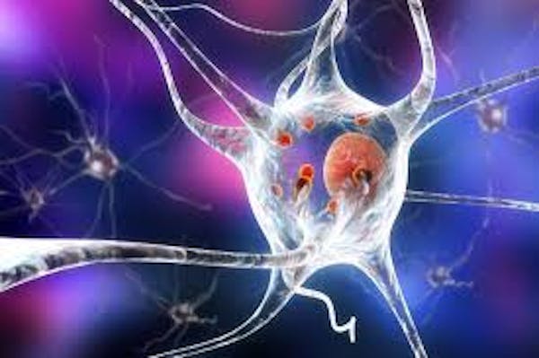 Da un farmaco antitumorale una possibile cura per i malati di Parkinson