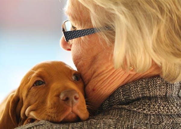 Pet Therapy un nuovo progetto avviato alla RSA Vittoria di Brescia
