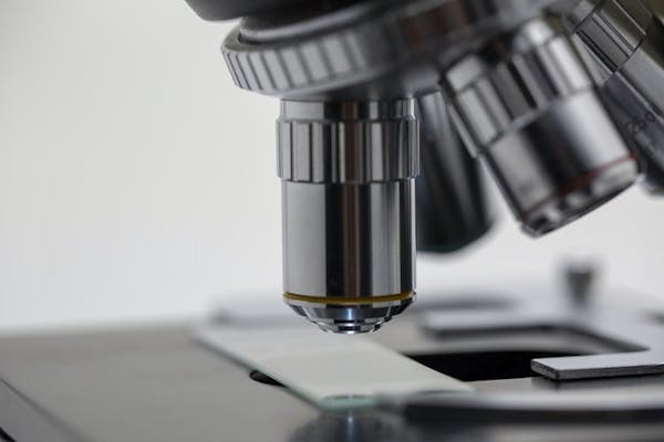 L'onda silenziosa: le possibili conseguenze neurologiche del Covid-19