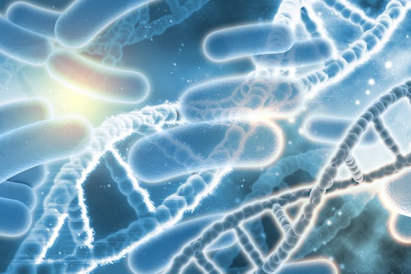 Ricerca individua nel microbioma intestinale l'origine della malattia di Parkinson
