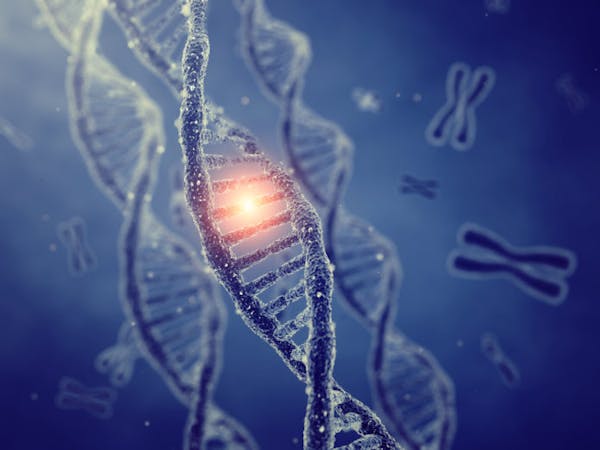 Morbo di Alzheimer: individuate le 75 componenti genetiche coinvolte nella malattia