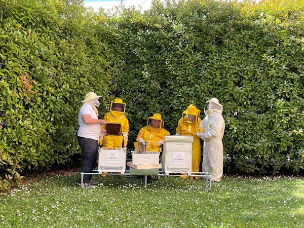 Bee Korian: l'innovativo progetto intergenerazionale che unisce anziani, ragazzi e api per la difesa della biodiversità