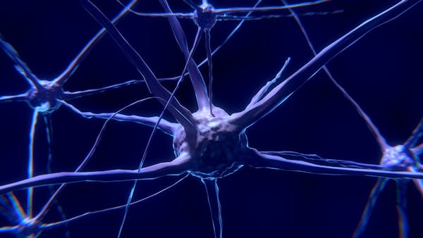 Ricerca senza precedenti progetta un mini cervello che mira a diagnosticare precocemente il Parkinson