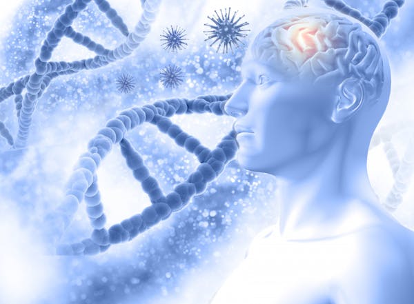 Studio pionieristico dimostra la riduzione dei livelli di proteina tau nella terapia genetica contro l'Alzheimer