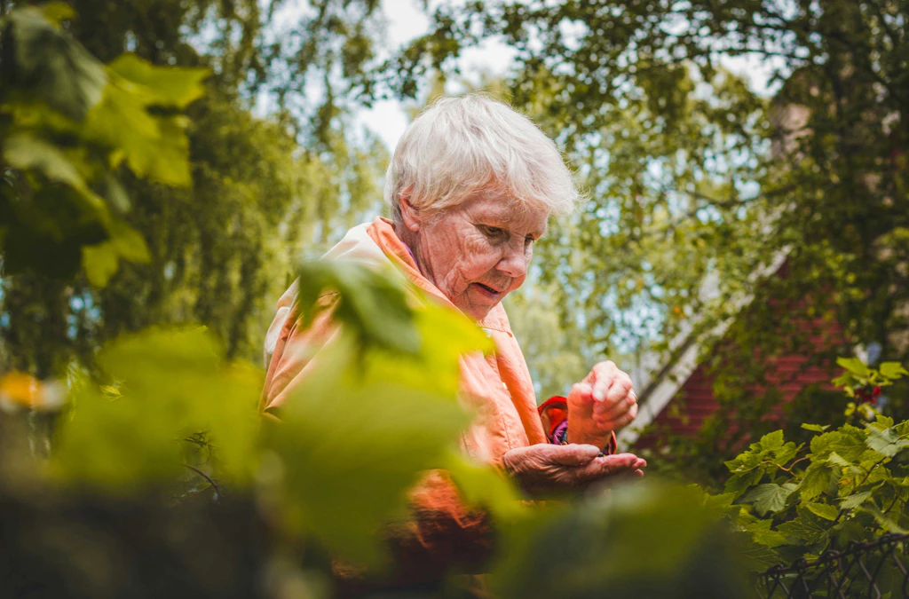 Ortoterapia per anziani: quando il giardinaggio è una cura