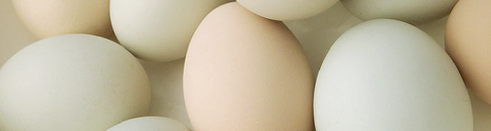 La carenza di vitamina D aumenta il rischio di mortalità per gli anziani