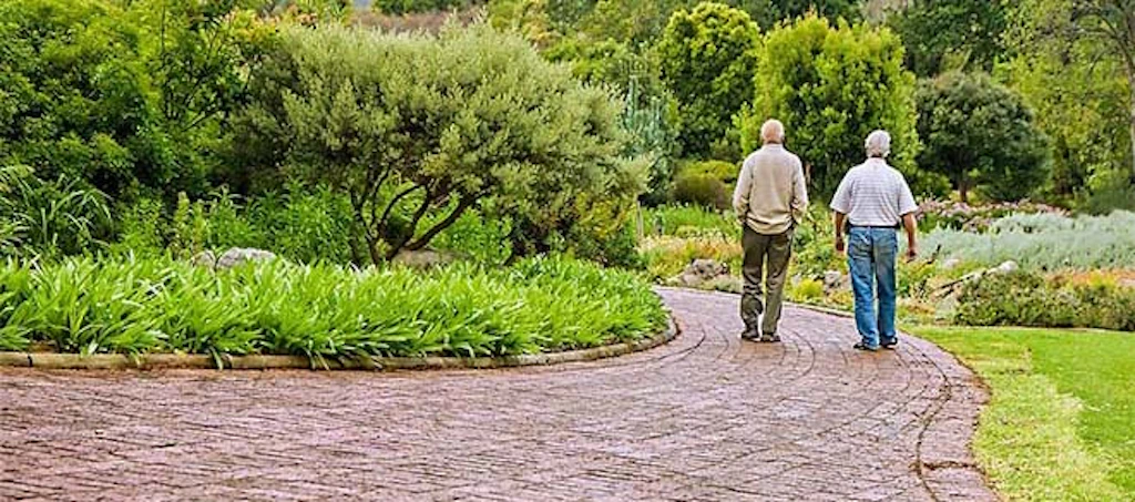 Un giardino zen per gli anziani ospiti di una casa di riposo