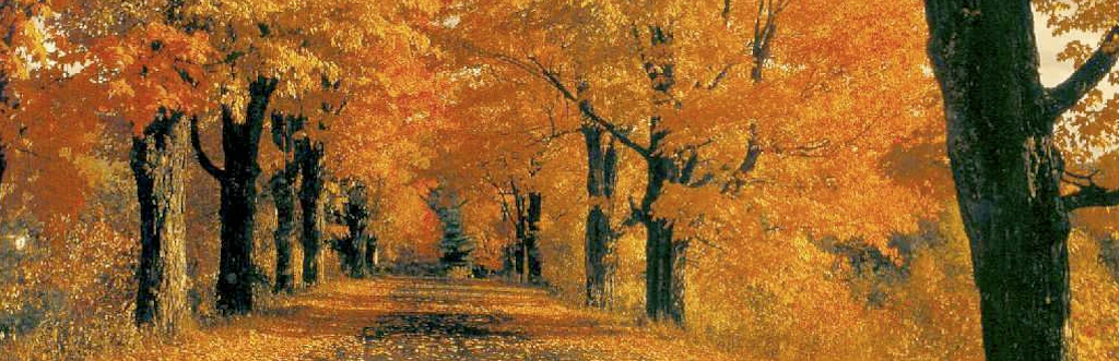ritorna l'autunno