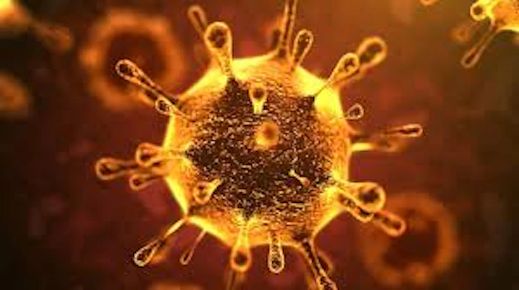 Coronavirus, come proteggere i nostri anziani dal contagio e dalle truffe