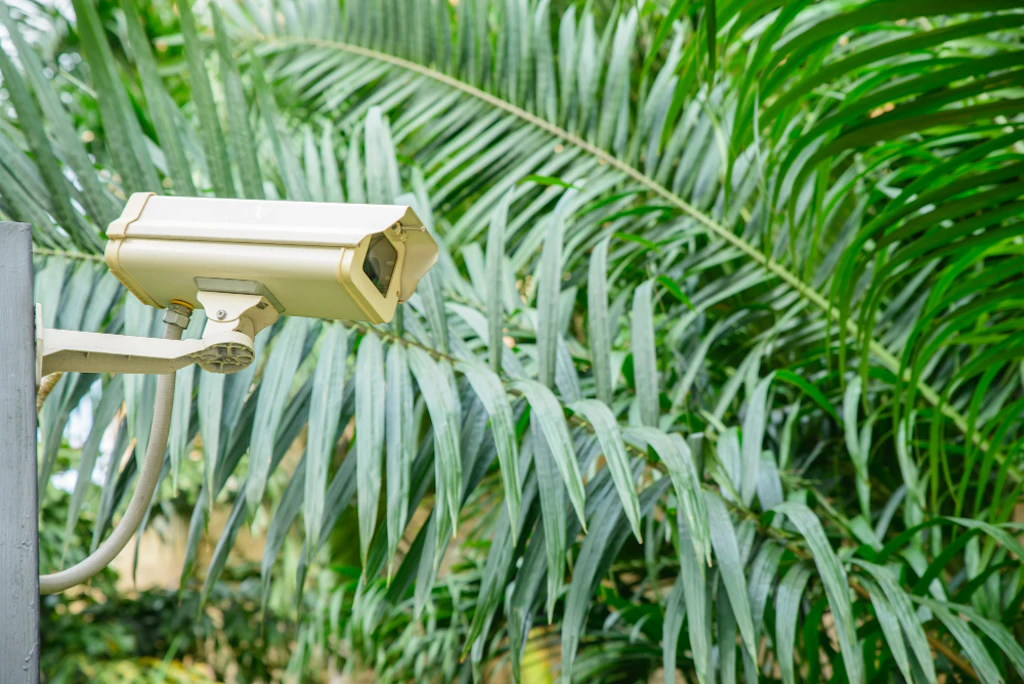 Puglia: Legge regionale sull'obbligo di telecamere in RSA contestata dal governo