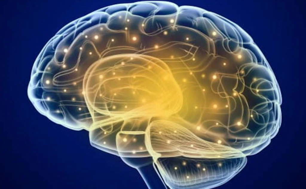 Scoperta la chiave del condizionamento cerebrale nella malattia di Alzheimer