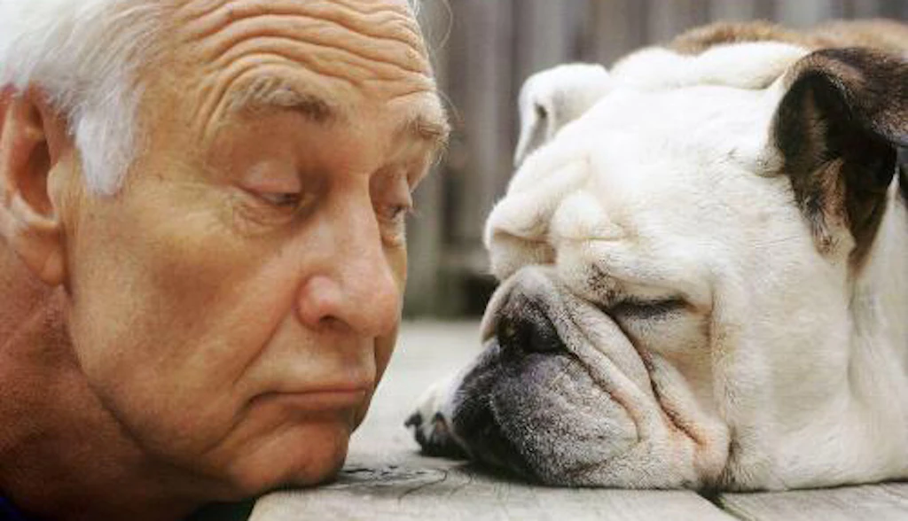 pet therapy: vantaggi e benefici di questa per gli anziani