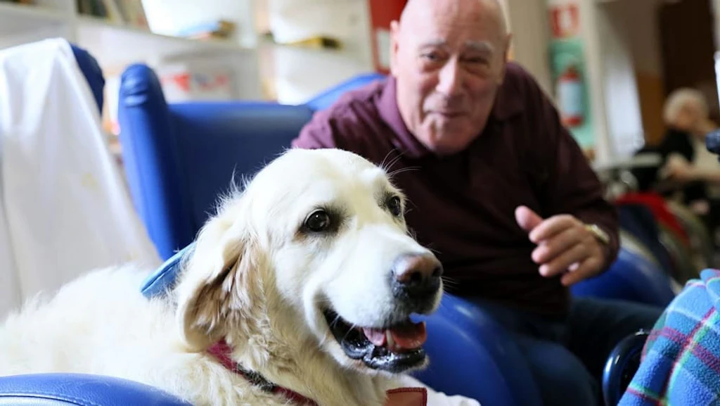 La Terapia Assistita con i Cani (DAT) nelle Case di Riposo per combattere la depressione negli anziani