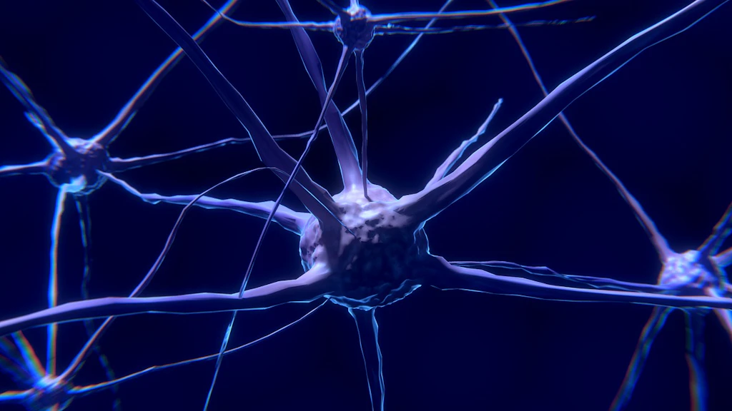 Ricerca senza precedenti progetta un mini cervello che mira a diagnosticare precocemente il Parkinson