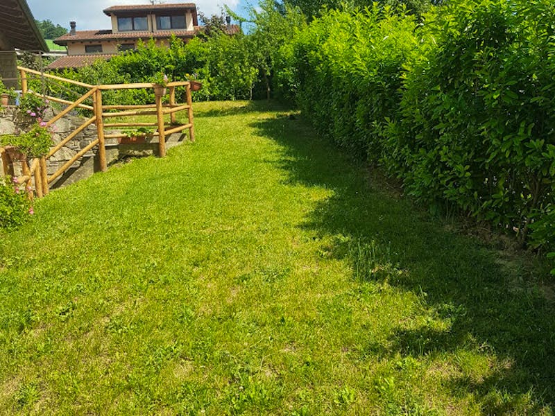 Struttura