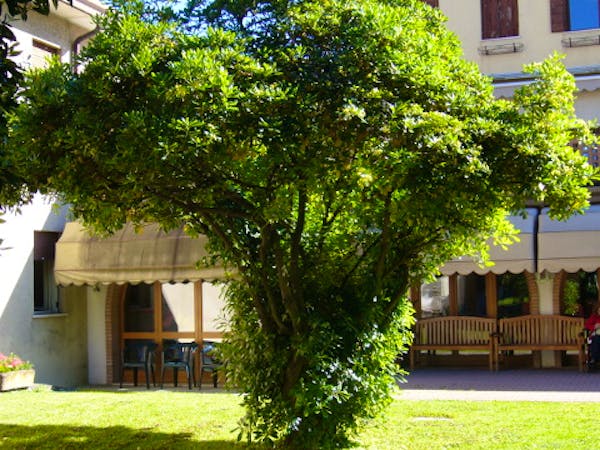 Foto di Cà dei Fiori