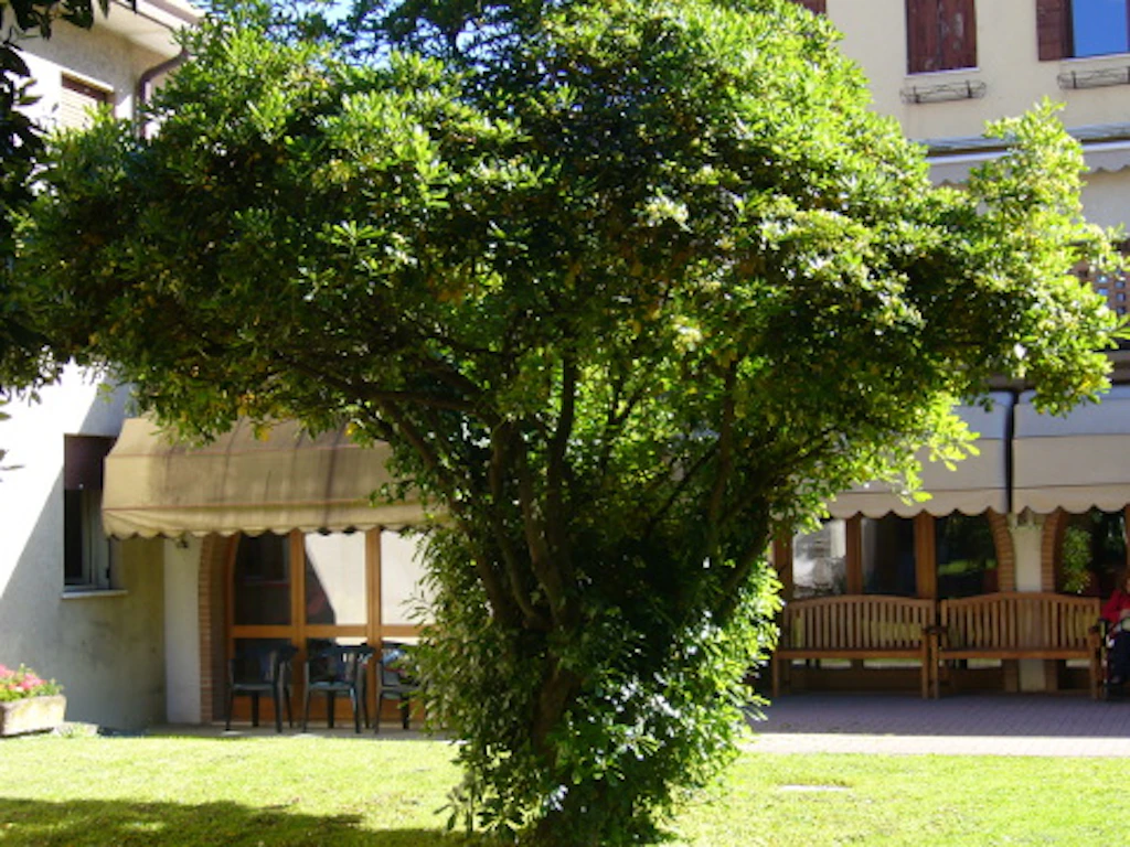 Foto di Cà dei Fiori