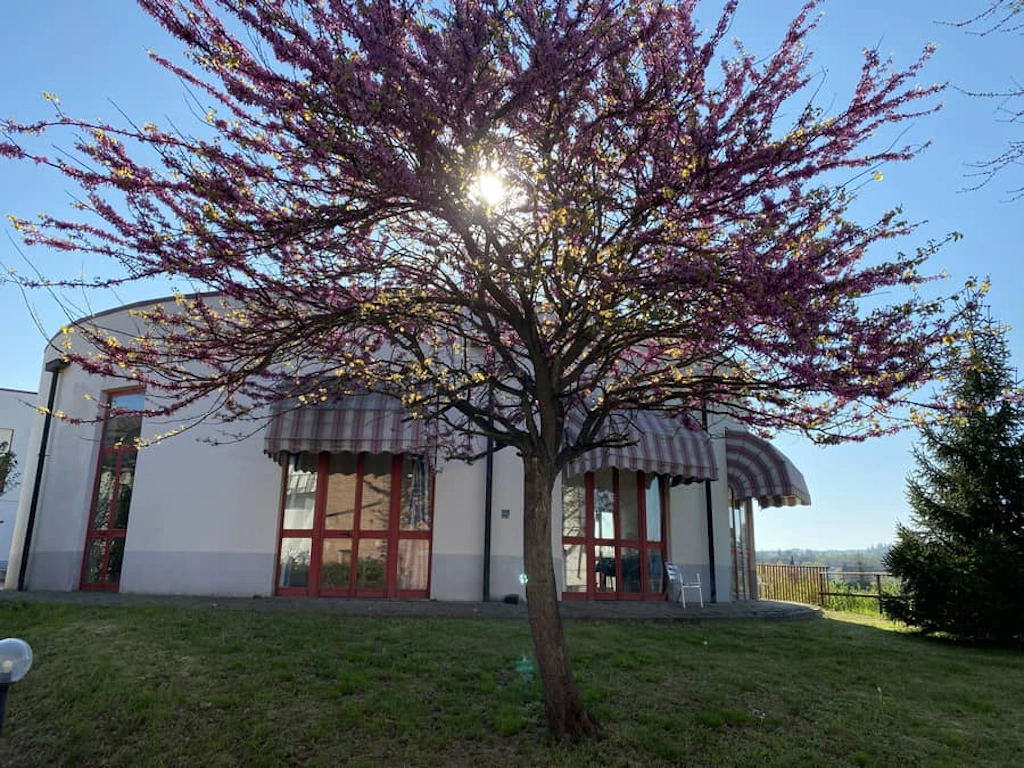 Foto di Comunità Alloggio La Rotonda