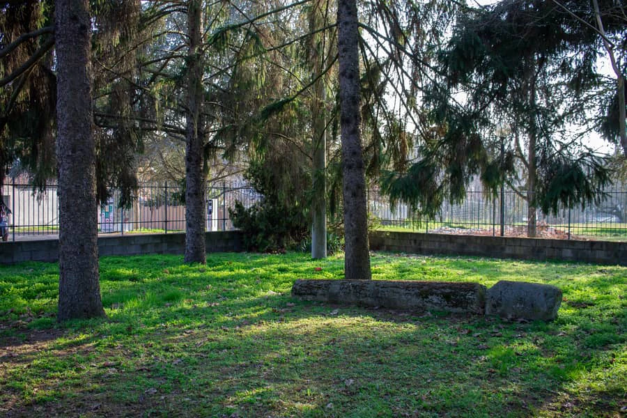 Foto 5 di Residenza per anziani Giovanni Penna