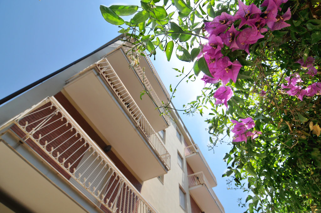 Foto principale di Casa di Riposo HORUS Residenza Integrata per Anziani