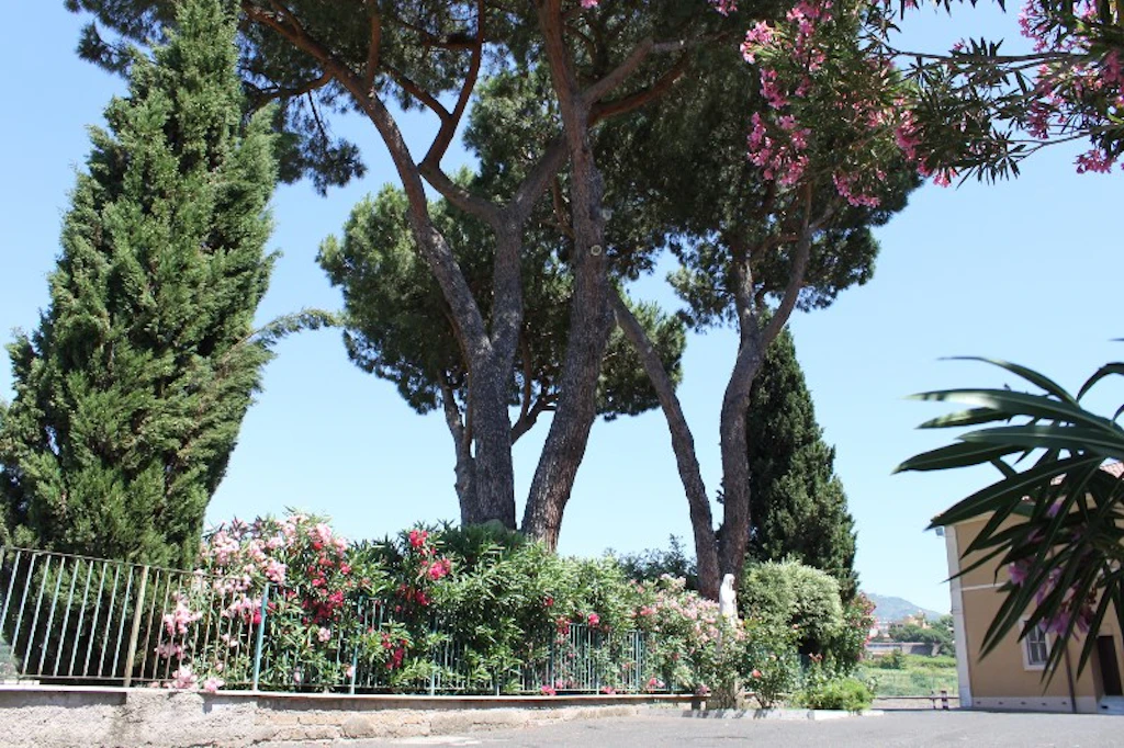 Foto 3 di Casa di Riposo Maria Assunta